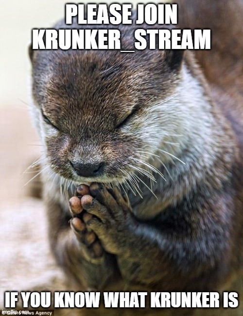 please i want to be a stream owner | PLEASE JOIN KRUNKER_STREAM; IF YOU KNOW WHAT KRUNKER IS | image tagged in thank you lord otter | made w/ Imgflip meme maker