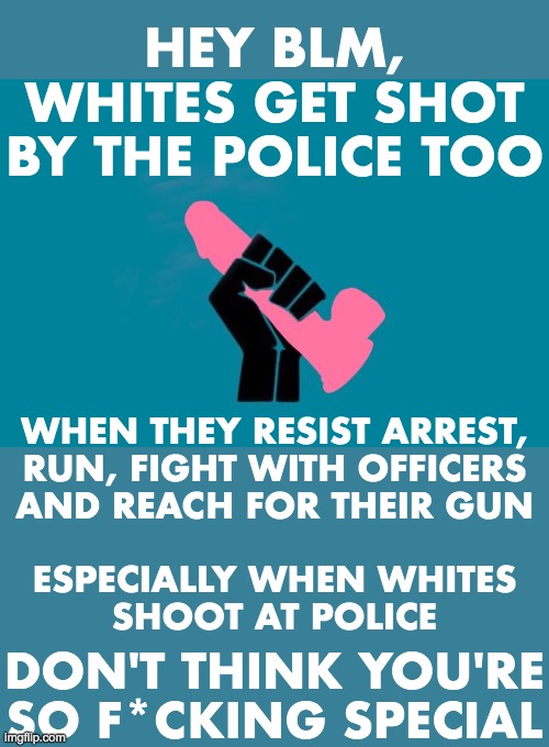 HEY BLM,
WHITES GET SHOT
BY THE POLICE TOO; WHEN THEY RESIST ARREST,
RUN, FIGHT WITH OFFICERS
AND REACH FOR THEIR GUN
 
ESPECIALLY WHEN WHITES
SHOOT AT POLICE; DON'T THINK YOU'RE SO F*CKING SPECIAL | image tagged in blm,police brutality | made w/ Imgflip meme maker