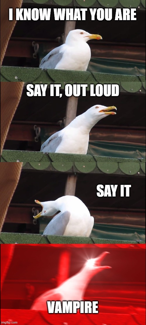 Inhaling Seagull Meme | I KNOW WHAT YOU ARE; SAY IT, OUT LOUD; SAY IT; VAMPIRE | image tagged in memes,inhaling seagull | made w/ Imgflip meme maker