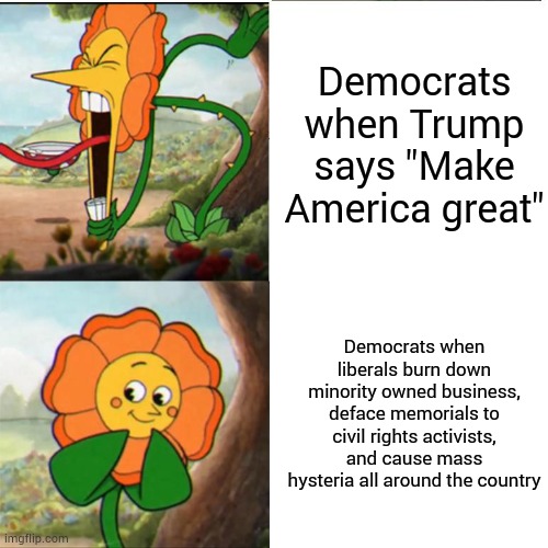Democrats just don't care | Democrats when Trump says "Make America great"; Democrats when liberals burn down minority owned business, deface memorials to civil rights activists, and cause mass hysteria all around the country | image tagged in cuphead flower,memes | made w/ Imgflip meme maker