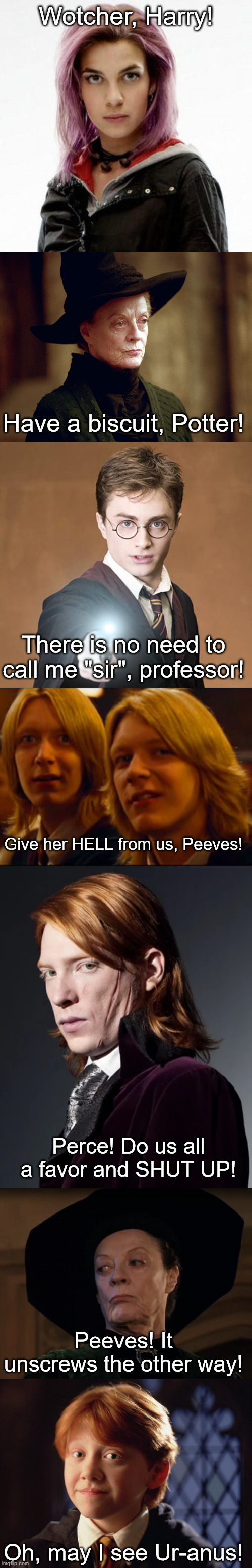 Quotes from the books, that I really missed in the movies | Wotcher, Harry! Have a biscuit, Potter! There is no need to call me "sir", professor! Give her HELL from us, Peeves! Perce! Do us all a favor and SHUT UP! Peeves! It unscrews the other way! Oh, may I see Ur-anus! | image tagged in weasley twins,harry potter casting a spell,ron weasley,unamused mcgonagall,minerva mcgonagall,nymphadora tonks | made w/ Imgflip meme maker
