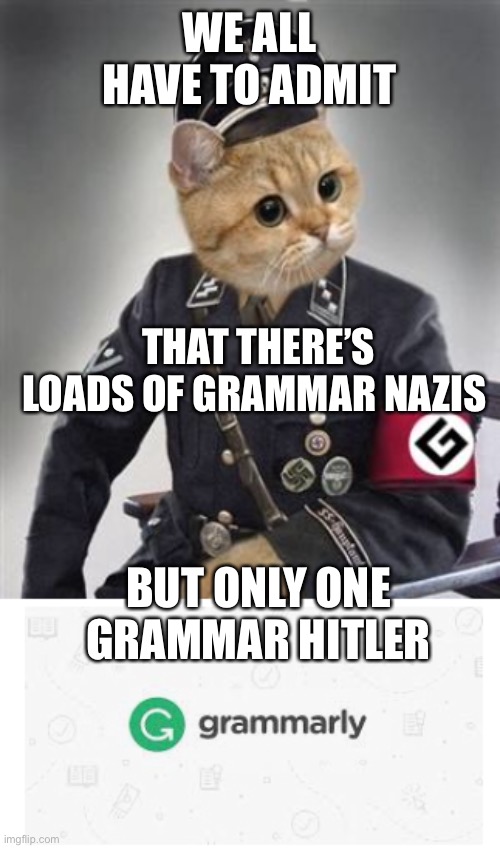 Grammarly... interrupting every video known to man |  WE ALL HAVE TO ADMIT; THAT THERE’S LOADS OF GRAMMAR NAZIS; BUT ONLY ONE GRAMMAR HITLER | image tagged in grammar nazi cat,grammarly,grammar nazi | made w/ Imgflip meme maker