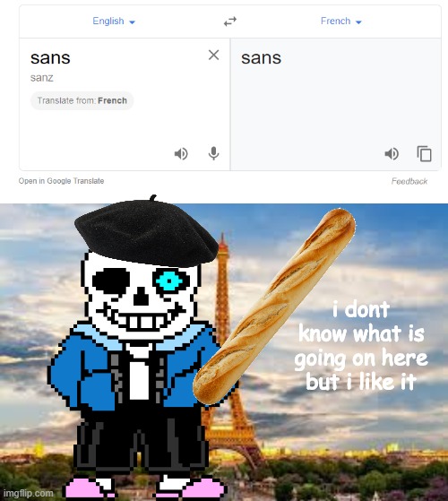 so is sans from france? | i dont know what is going on here but i like it | image tagged in sans,france,memes,google translate | made w/ Imgflip meme maker