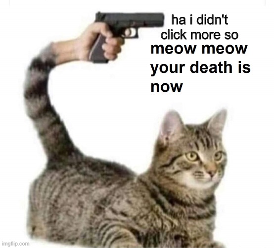 meow meow your death is now | ha i didn't click more so | image tagged in meow meow your death is now | made w/ Imgflip meme maker