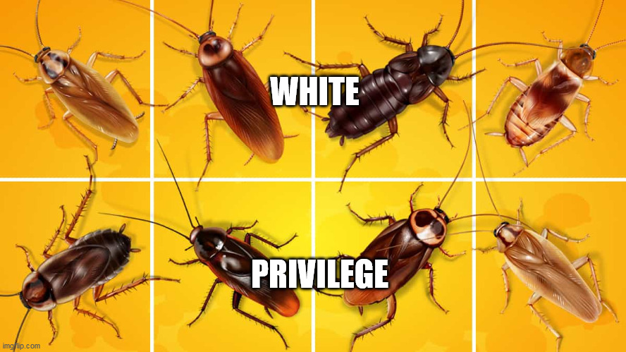 WHITE; PRIVILEGE | image tagged in first world problems | made w/ Imgflip meme maker