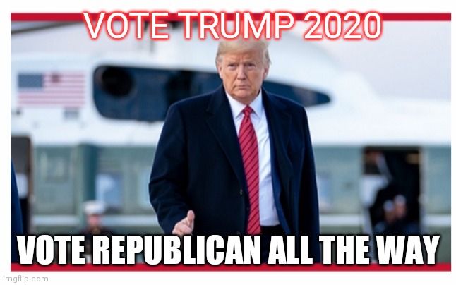 VOTE TRUMP 2020 VOTE REPUBLICAN ALL THE WAY | made w/ Imgflip meme maker