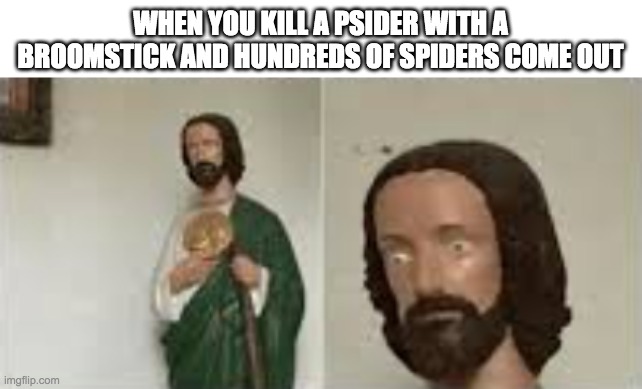 Oh no | WHEN YOU KILL A PSIDER WITH A BROOMSTICK AND HUNDREDS OF SPIDERS COME OUT | image tagged in spiders,baby jesus,memes,funny | made w/ Imgflip meme maker