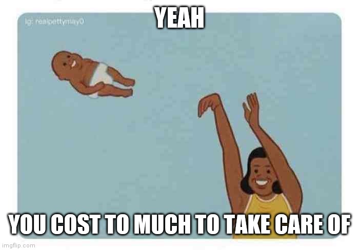 mom throwing baby | YEAH; YOU COST TO MUCH TO TAKE CARE OF | image tagged in mom throwing baby | made w/ Imgflip meme maker