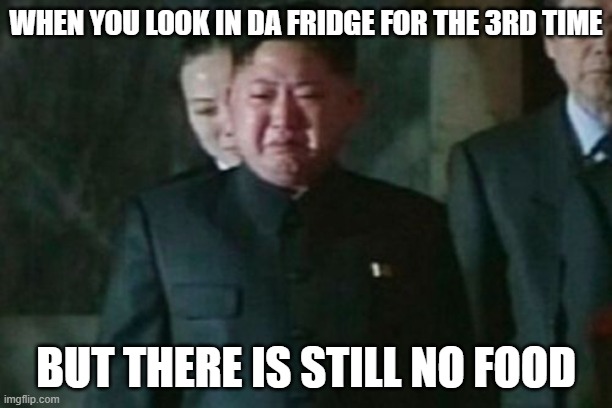 true | WHEN YOU LOOK IN DA FRIDGE FOR THE 3RD TIME; BUT THERE IS STILL NO FOOD | image tagged in memes,kim jong un sad | made w/ Imgflip meme maker