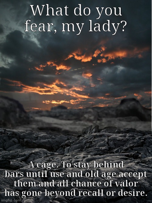 What do you fear? | What do you fear, my lady? A cage. To stay behind bars until use and old age accept them and all chance of valor has gone beyond recall or desire. | image tagged in cage | made w/ Imgflip meme maker