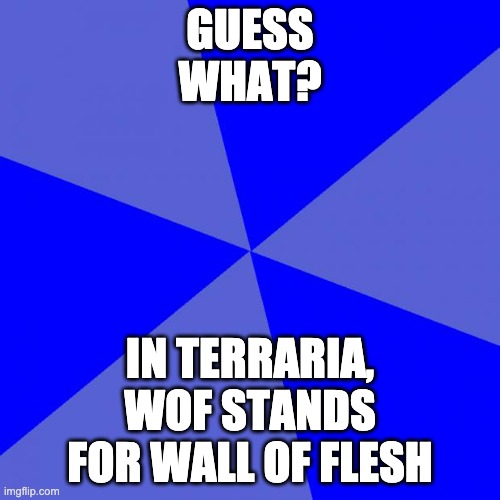 sorry to ruin your day, i just had to. | GUESS WHAT? IN TERRARIA, WOF STANDS FOR WALL OF FLESH | image tagged in memes,blank blue background | made w/ Imgflip meme maker