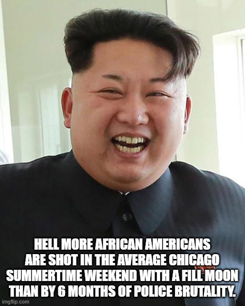 HELL MORE AFRICAN AMERICANS ARE SHOT IN THE AVERAGE CHICAGO SUMMERTIME WEEKEND WITH A FILL MOON THAN BY 6 MONTHS OF POLICE BRUTALITY. | made w/ Imgflip meme maker