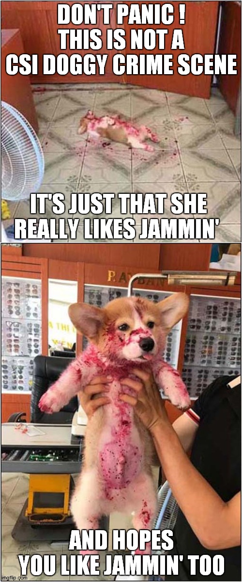 This Dog Is A Fan Of Jam ! |  DON'T PANIC ! THIS IS NOT A CSI DOGGY CRIME SCENE; IT'S JUST THAT SHE REALLY LIKES JAMMIN'; AND HOPES YOU LIKE JAMMIN' TOO | image tagged in fun,dogs,bob marley,csi | made w/ Imgflip meme maker