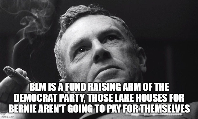 BLM IS A FUND RAISING ARM OF THE DEMOCRAT PARTY, THOSE LAKE HOUSES FOR BERNIE AREN'T GOING TO PAY FOR THEMSELVES | made w/ Imgflip meme maker