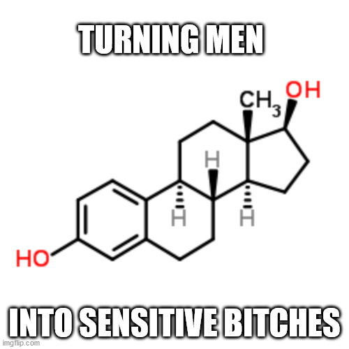 TURNING MEN; INTO SENSITIVE BITCHES | image tagged in estrogen | made w/ Imgflip meme maker