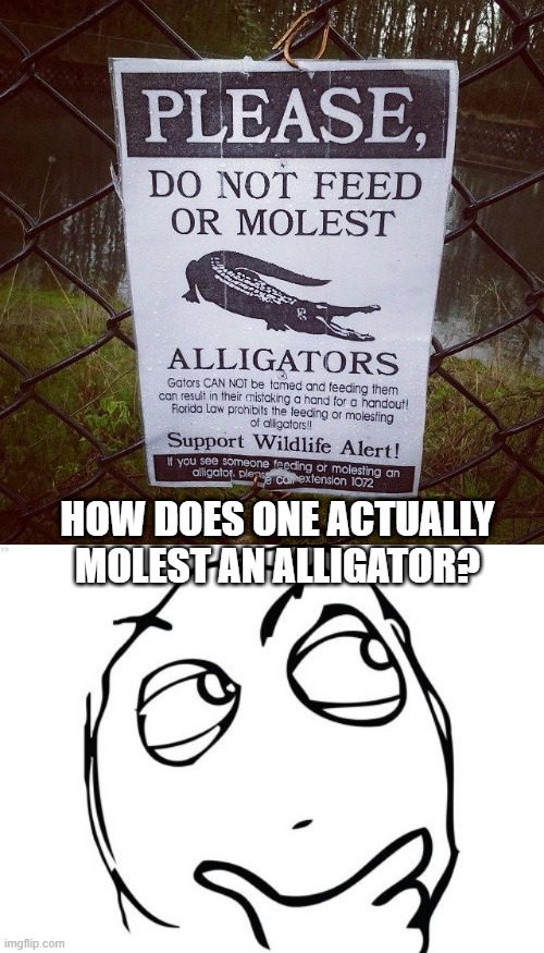 Good Question | HOW DOES ONE ACTUALLY MOLEST AN ALLIGATOR? | image tagged in memes,question rage face | made w/ Imgflip meme maker