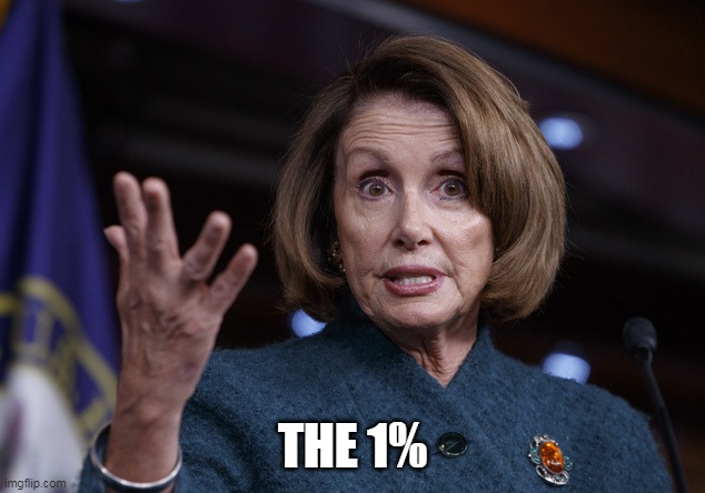 Good old Nancy Pelosi | THE 1% | image tagged in good old nancy pelosi | made w/ Imgflip meme maker