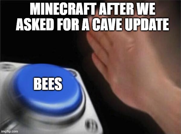 Blank Nut Button Meme | MINECRAFT AFTER WE ASKED FOR A CAVE UPDATE; BEES | image tagged in memes,blank nut button | made w/ Imgflip meme maker