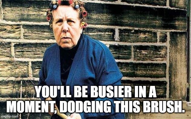 Nora Batty | YOU'LL BE BUSIER IN A MOMENT, DODGING THIS BRUSH. | image tagged in broom | made w/ Imgflip meme maker