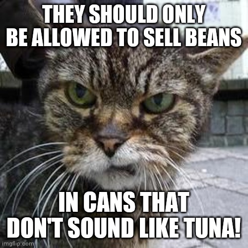 The conditions of life | THEY SHOULD ONLY BE ALLOWED TO SELL BEANS; IN CANS THAT DON'T SOUND LIKE TUNA! | image tagged in angry cat | made w/ Imgflip meme maker