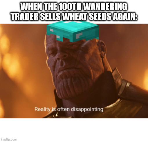 Oh man, not again... | WHEN THE 100TH WANDERING TRADER SELLS WHEAT SEEDS AGAIN: | image tagged in reality is often dissapointing,minecraft,thanos,villager | made w/ Imgflip meme maker