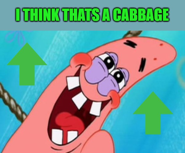 patrick star | I THINK THATS A CABBAGE | image tagged in patrick star | made w/ Imgflip meme maker