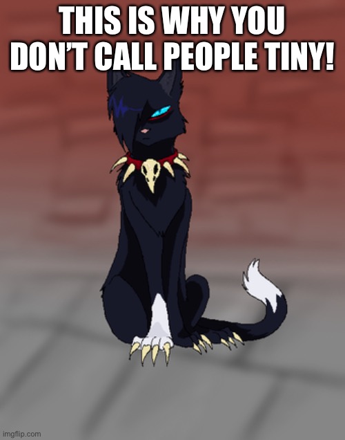 THIS IS WHY YOU DON’T CALL PEOPLE TINY! | made w/ Imgflip meme maker