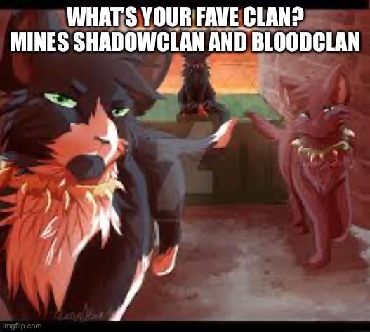 WHAT’S YOUR FAVE CLAN? MINES SHADOWCLAN AND BLOODCLAN | made w/ Imgflip meme maker