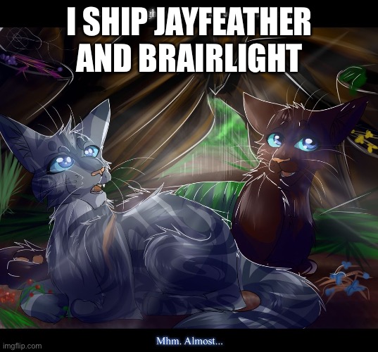 I SHIP JAYFEATHER AND BRAIRLIGHT | made w/ Imgflip meme maker