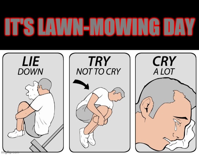 Shout out to my fellow procrastinators | IT'S LAWN-MOWING DAY | image tagged in try not to cry,narrow black strip background,memes,procrastination,procrastinate,lawnmower | made w/ Imgflip meme maker
