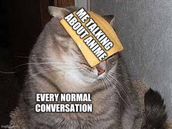 Cats with cheese | ME TALKING ABOUT ANIME; EVERY NORMAL CONVERSATION | image tagged in cats with cheese | made w/ Imgflip meme maker