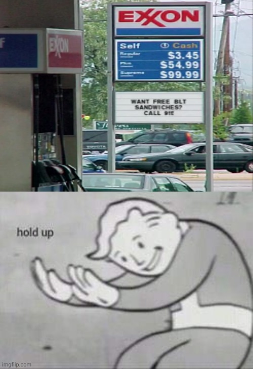 Hold up: Want free BLT sandwiches? Call 911! | image tagged in fallout hold up,funny sign,funny signs,funny,memes,meme | made w/ Imgflip meme maker