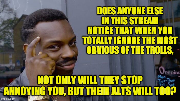 Ignore the trolls! | DOES ANYONE ELSE IN THIS STREAM NOTICE THAT WHEN YOU TOTALLY IGNORE THE MOST OBVIOUS OF THE TROLLS, NOT ONLY WILL THEY STOP ANNOYING YOU, BUT THEIR ALTS WILL TOO? | image tagged in memes,roll safe think about it | made w/ Imgflip meme maker