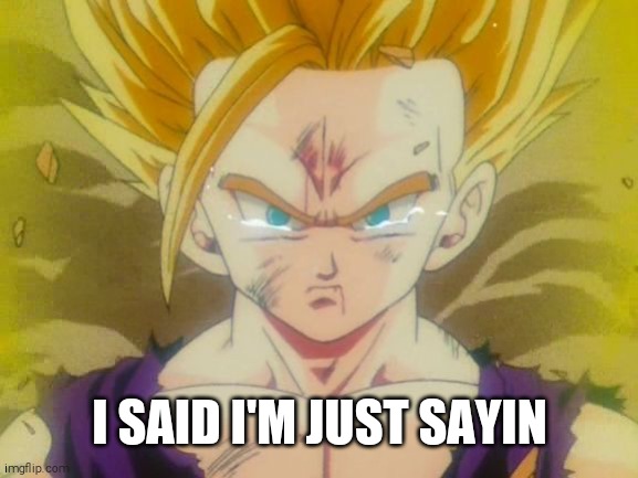 sad Gohan ssj2 | I SAID I'M JUST SAYIN | image tagged in sad gohan ssj2 | made w/ Imgflip meme maker