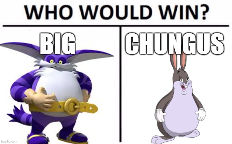 Big chungus | BIG; CHUNGUS | image tagged in memes,who would win | made w/ Imgflip meme maker