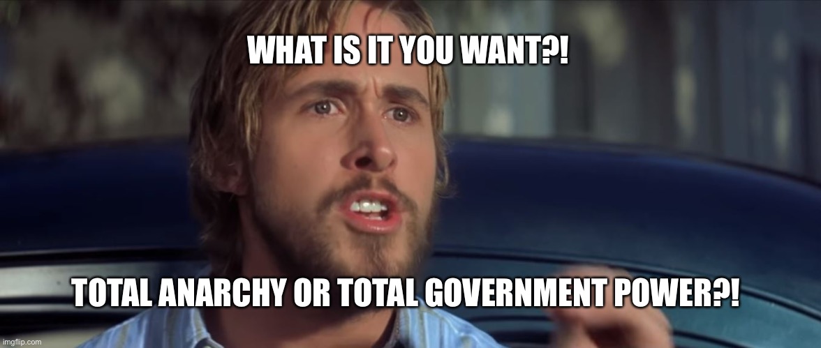 What. Do. You. Want?? | WHAT IS IT YOU WANT?! TOTAL ANARCHY OR TOTAL GOVERNMENT POWER?! | image tagged in what do you want | made w/ Imgflip meme maker