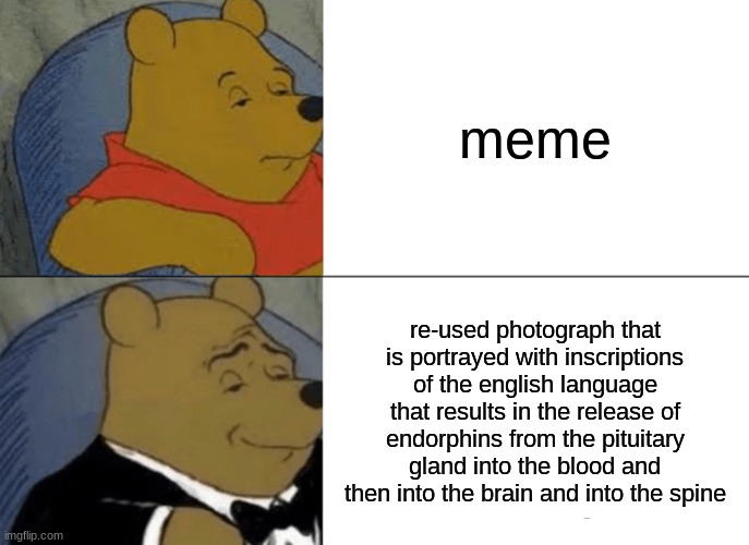 nice | meme; re-used photograph that is portrayed with inscriptions of the english language that results in the release of endorphins from the pituitary gland into the blood and then into the brain and into the spine | image tagged in memes,tuxedo winnie the pooh | made w/ Imgflip meme maker