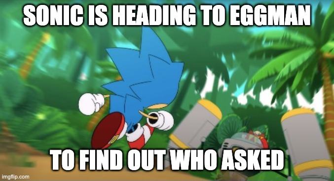 High Quality Sonic who asked Blank Meme Template