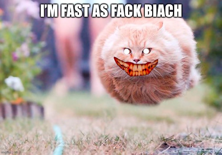 Fast as fack | I’M FAST AS FACK BIACH | image tagged in sanic kitty,fast and furious | made w/ Imgflip meme maker