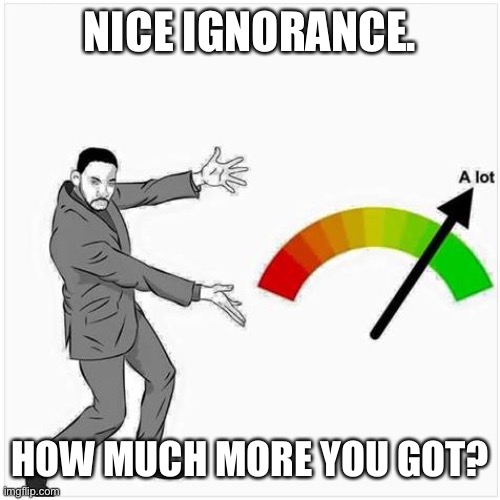 how much ? | NICE IGNORANCE. HOW MUCH MORE YOU GOT? | image tagged in how much | made w/ Imgflip meme maker