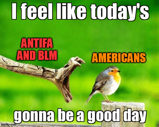 I just want peace and quiet. | AMERICANS; ANTIFA AND BLM | image tagged in blm,antifa | made w/ Imgflip meme maker