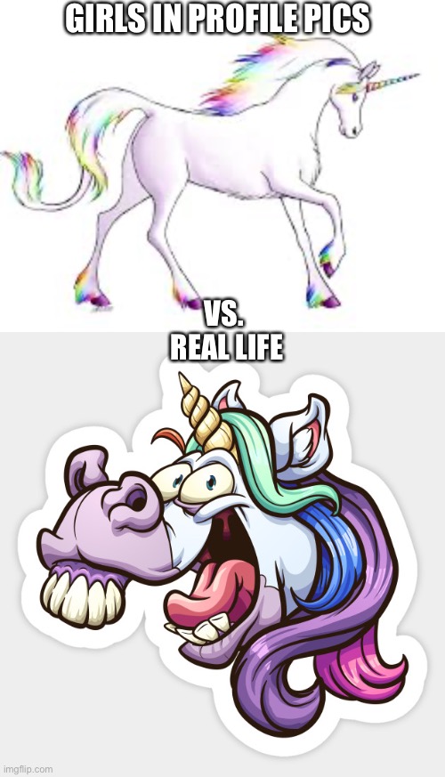 True dat | GIRLS IN PROFILE PICS; VS. 
REAL LIFE | image tagged in unicorn,ugly,profile picture,funny | made w/ Imgflip meme maker