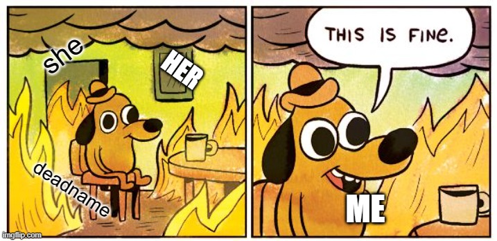 This Is Fine | she; HER; deadname; ME | image tagged in memes,this is fine | made w/ Imgflip meme maker