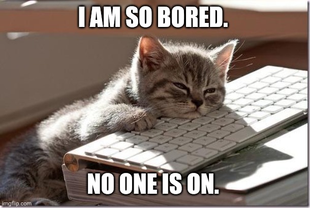 Bored Keyboard Cat | I AM SO BORED. NO ONE IS ON. | image tagged in bored keyboard cat | made w/ Imgflip meme maker