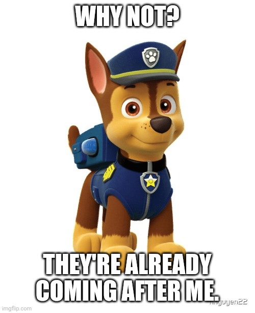 Chase from Paw Patrol | WHY NOT? THEY'RE ALREADY COMING AFTER ME. | image tagged in chase from paw patrol | made w/ Imgflip meme maker