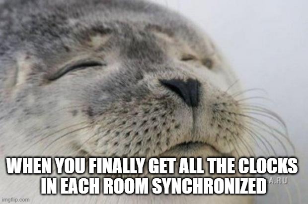 That face you make... | WHEN YOU FINALLY GET ALL THE CLOCKS 
IN EACH ROOM SYNCHRONIZED | image tagged in happy seal | made w/ Imgflip meme maker