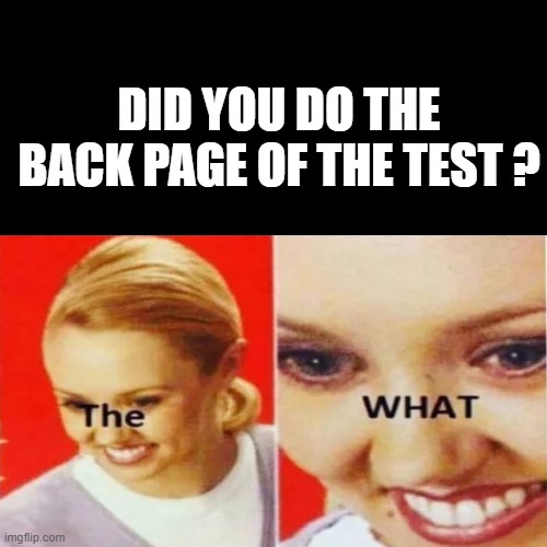 The What | DID YOU DO THE BACK PAGE OF THE TEST ? | image tagged in the what | made w/ Imgflip meme maker