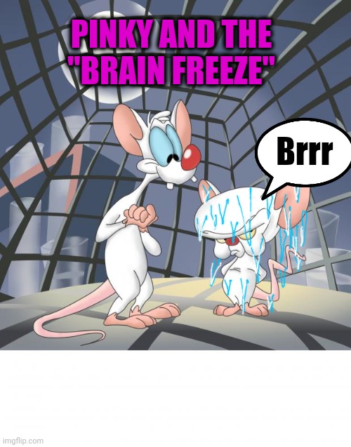 Pinky and the brain | Brrr PINKY AND THE "BRAIN FREEZE" | image tagged in pinky and the brain | made w/ Imgflip meme maker