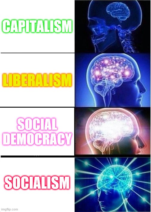 Political Abot | CAPITALISM; LIBERALISM; SOCIAL DEMOCRACY; SOCIALISM | image tagged in memes,expanding brain,politics,trending | made w/ Imgflip meme maker