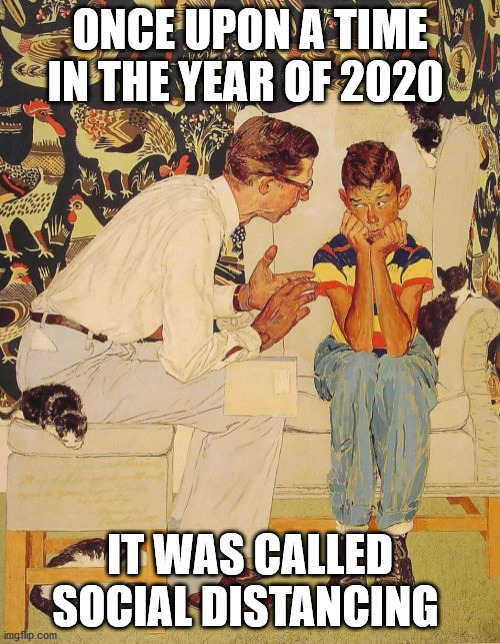 The Problem Is | ONCE UPON A TIME IN THE YEAR OF 2020; IT WAS CALLED SOCIAL DISTANCING | image tagged in memes,the problem is | made w/ Imgflip meme maker